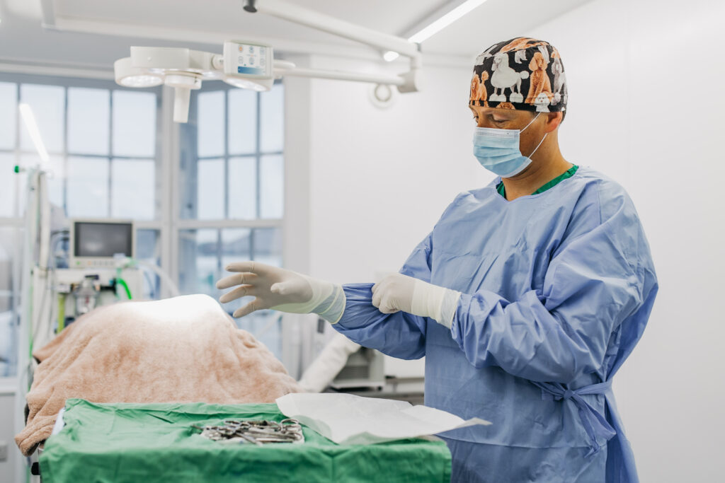 Veterinary surgery - value of pet insurance