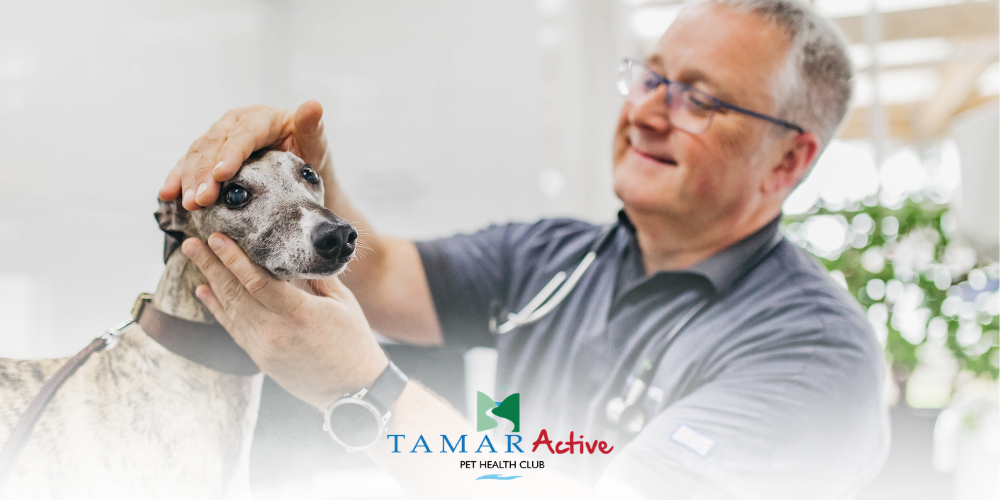 Tamar Active - Pet Health Plan