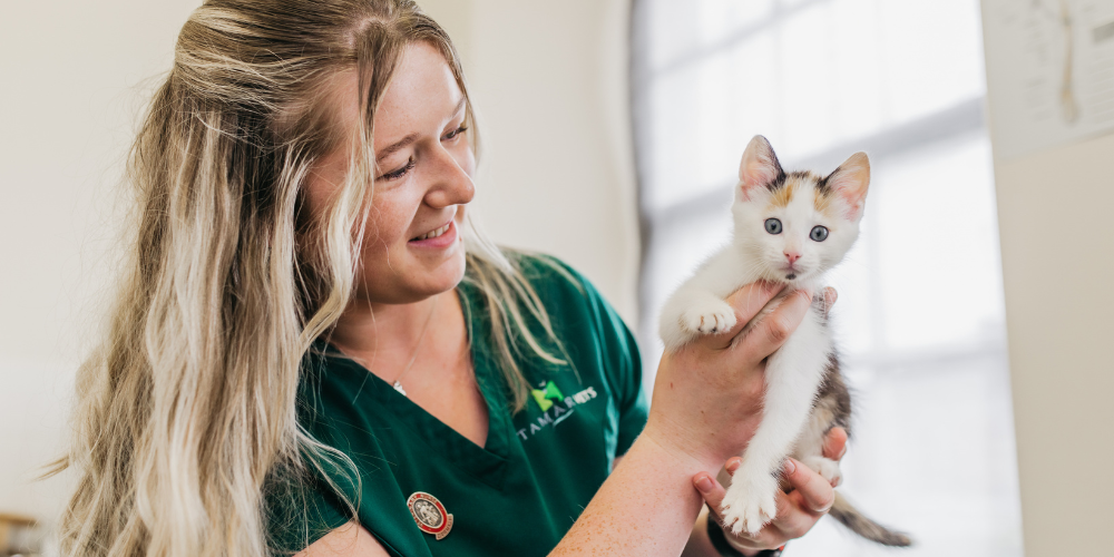 How an independent veterinary practice benefits your pet